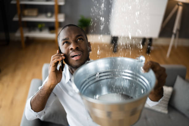 Best Water damage restoration services  in Gueydan, LA
