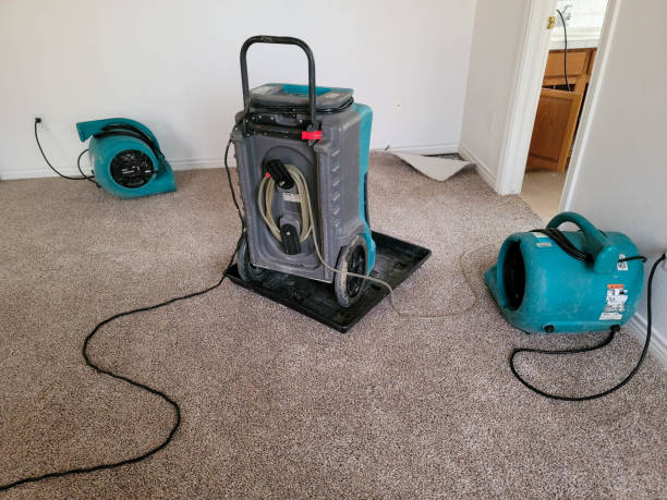 Best Residential water damage restoration  in Gueydan, LA