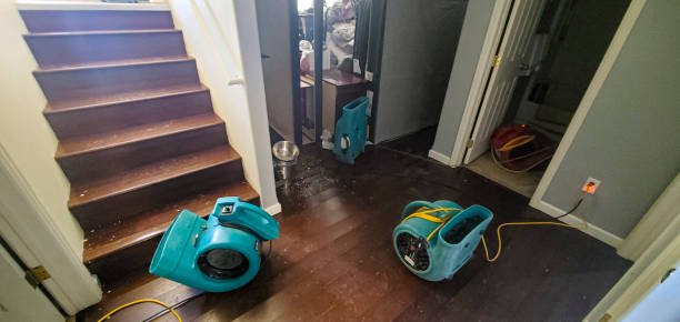 Best Fire Damage Restoration  in Gueydan, LA