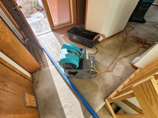 Best Local water damage restoration  in Gueydan, LA