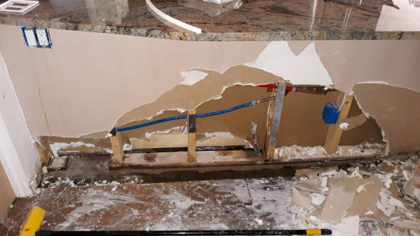 Best Mold removal after water damage  in Gueydan, LA