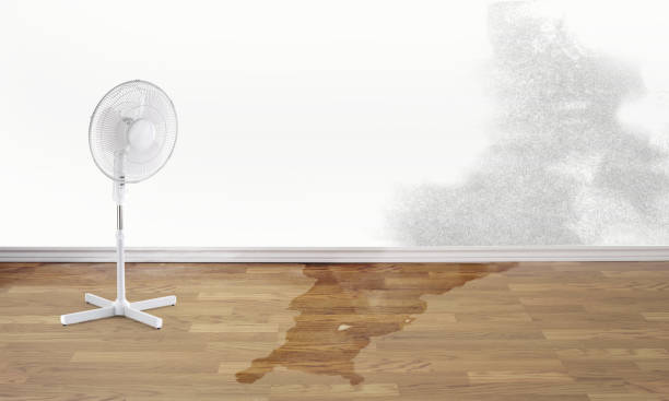 Best Fire Damage Restoration  in Gueydan, LA