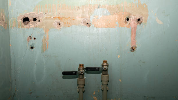 Best Water damage restoration near me  in Gueydan, LA