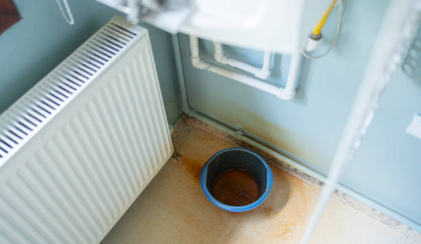 Best Water damage cleanup near me  in Gueydan, LA