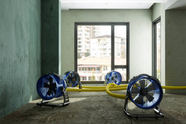 Best 24/7 water damage repair  in Gueydan, LA